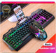 Gaming Keyboard Gaming Mouse Mechanical Feeling RGB LED Backlit